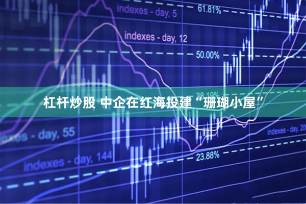 杠杆炒股 中企在红海投建“珊瑚小屋”