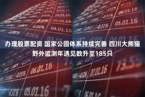 办理股票配资 国家公园体系持续完善 四川大熊猫野外监测年遇见数升至185只