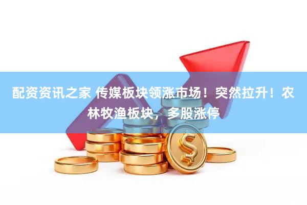 配资资讯之家 传媒板块领涨市场！突然拉升！农林牧渔板块，多股涨停